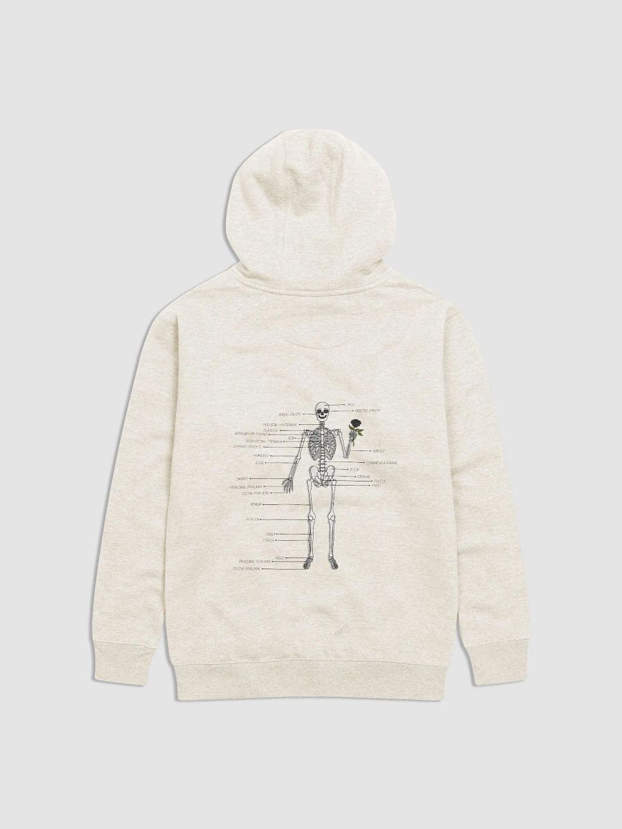 Hello and Welcome Hoodie product image (1)