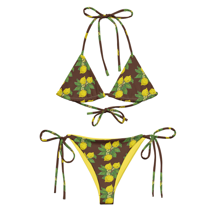 Lemon Love Brown Bikini Set product image (1)