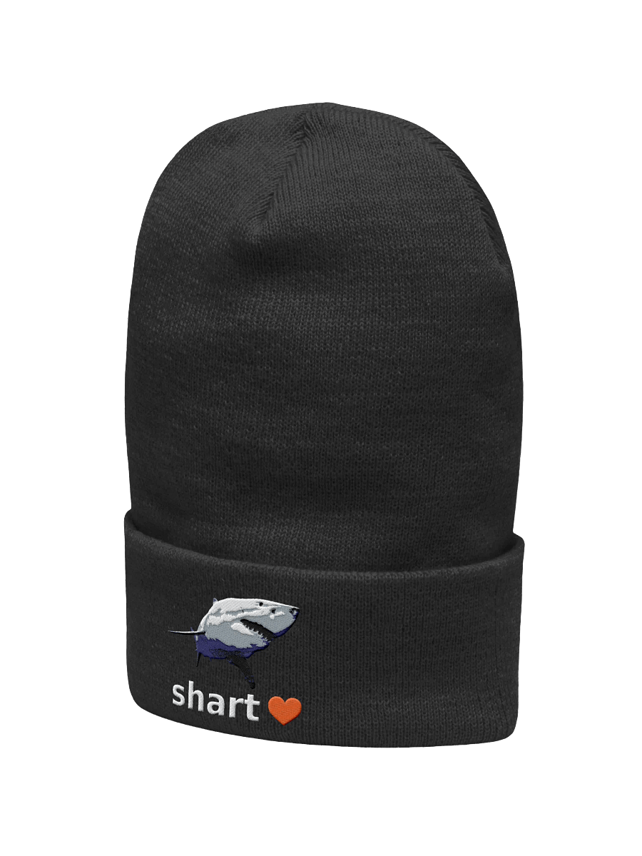 shart beanie product image (2)