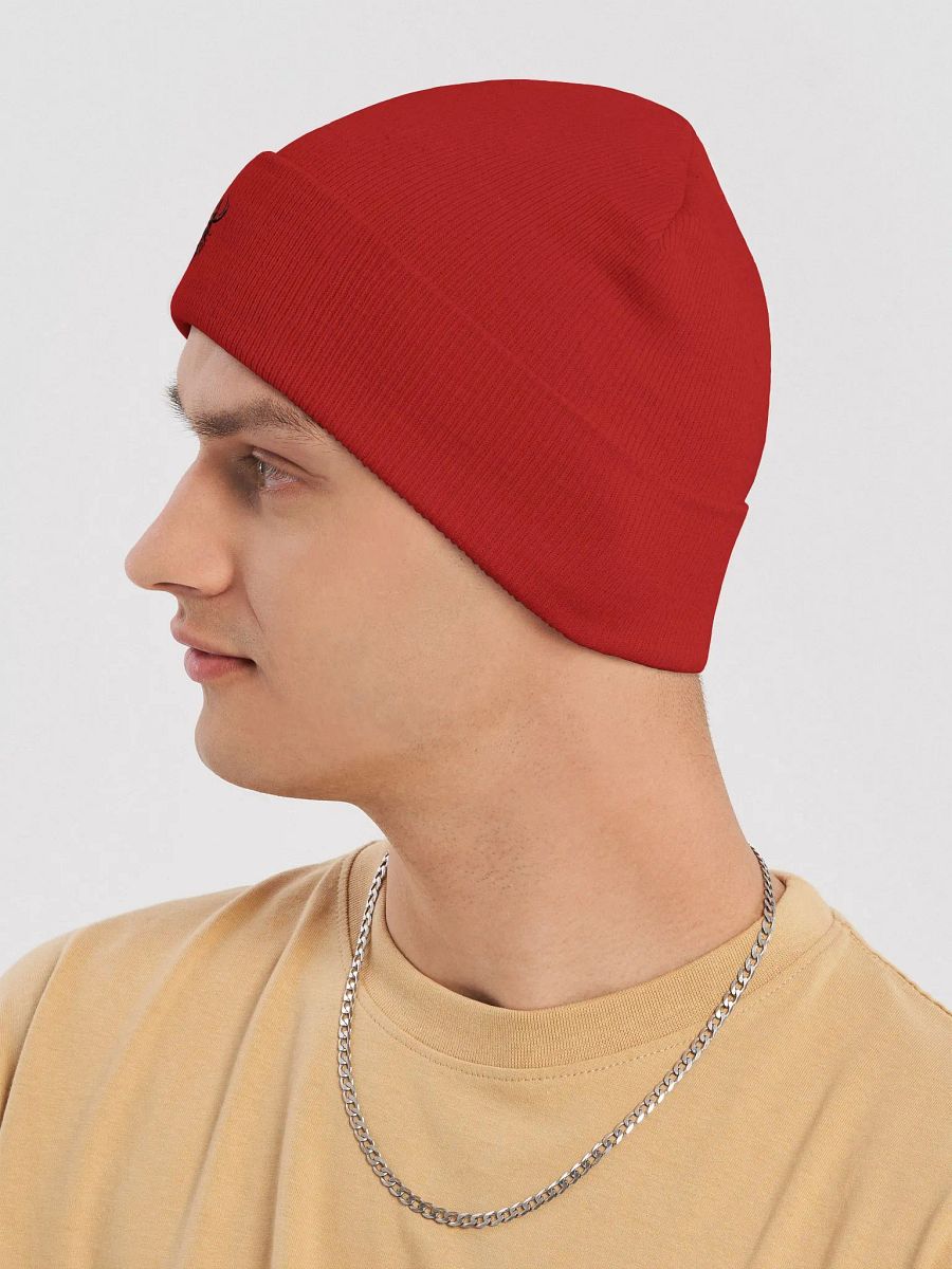 Juggernaut Knit Beanie product image (14)