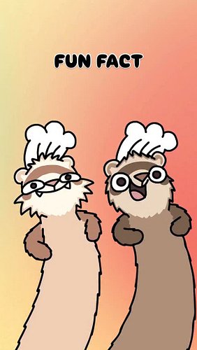 It's the opposite of fortnight... 
#ferretfacts #funfact #ferrets #weasels