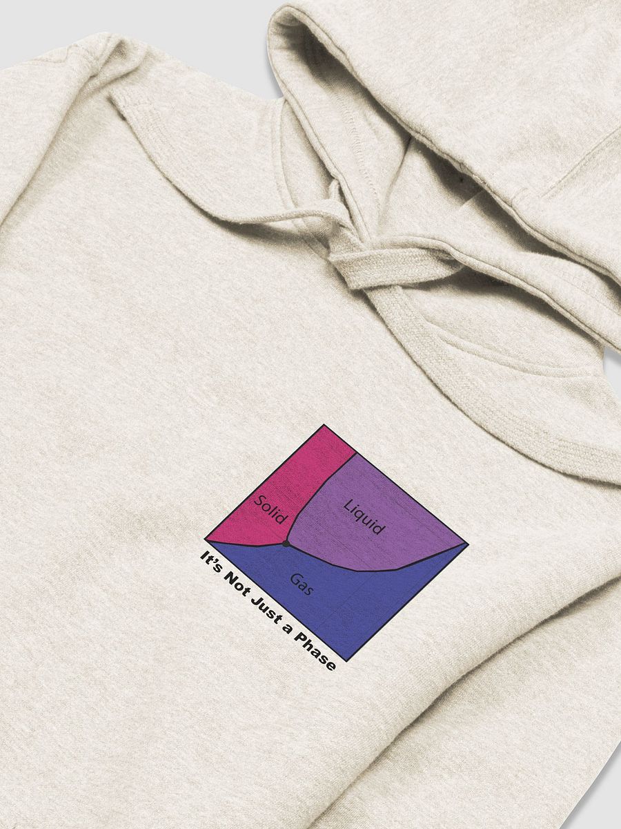 It's Not Just a Phase- Bi Sweatshirt product image (7)