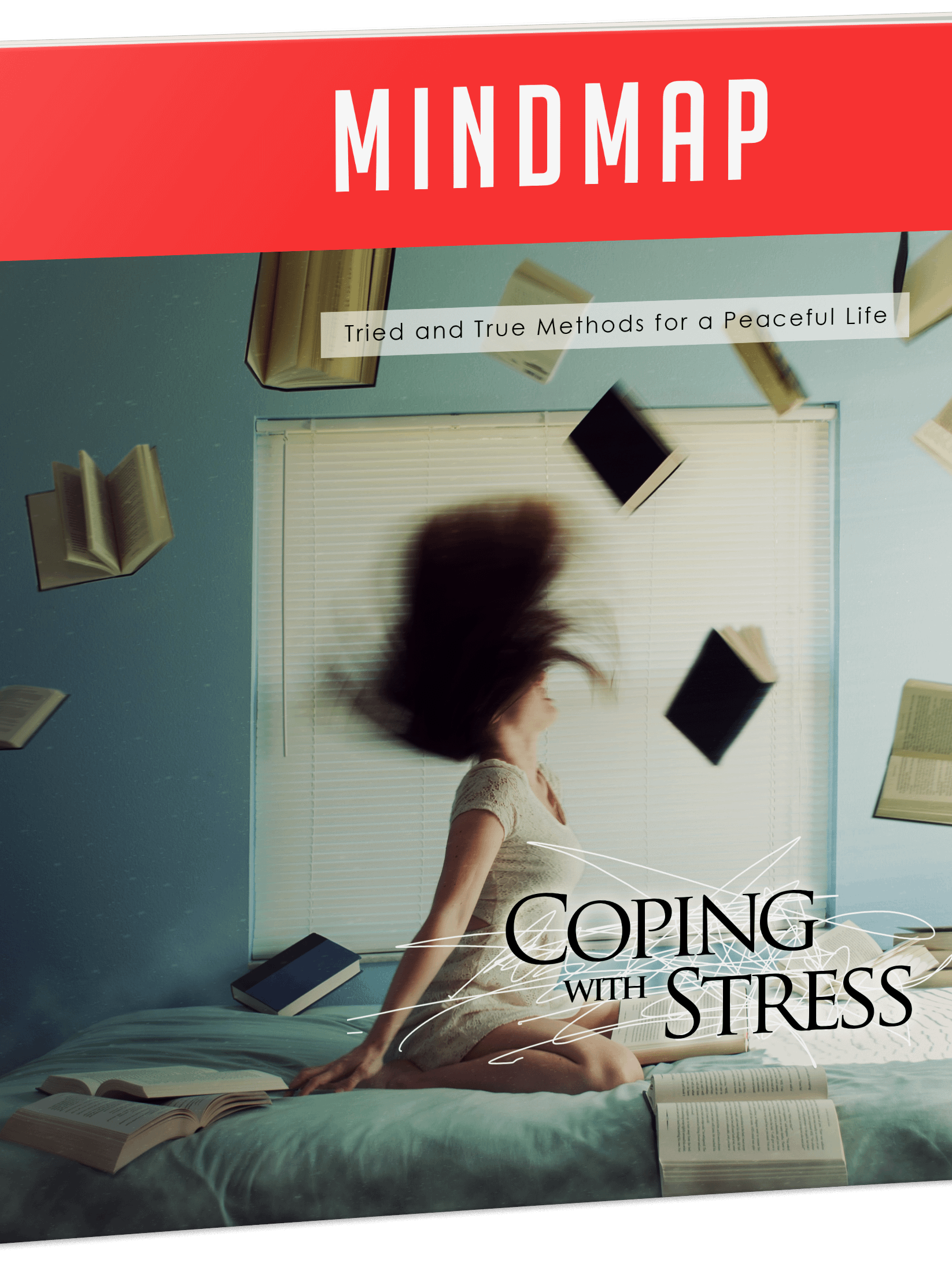 Coping With Stress eBook product image (4)
