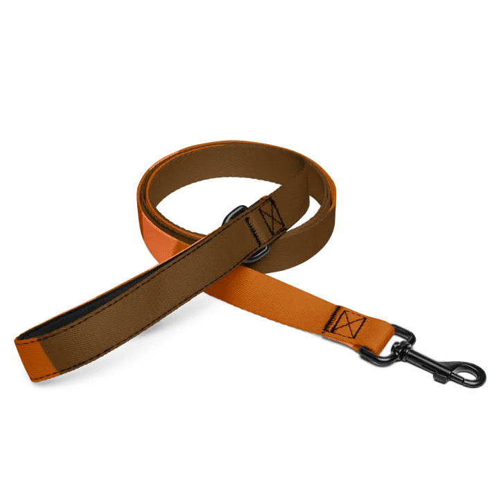 Orange Custom Pet Leash product image (1)