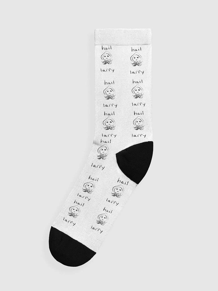 Hail Larry socks product image (1)