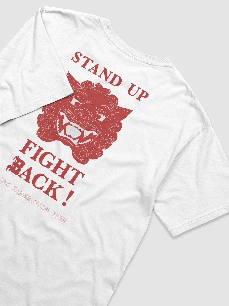 Stand Up, Fight Back shirt product image (4)