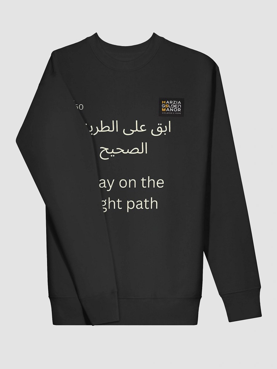Right Path Unisex Premium Sweatshirt product image (17)