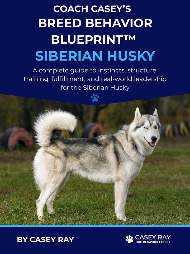 Coach Casey’s Breed Behavior Blueprint™ - Siberian Husky product image (1)