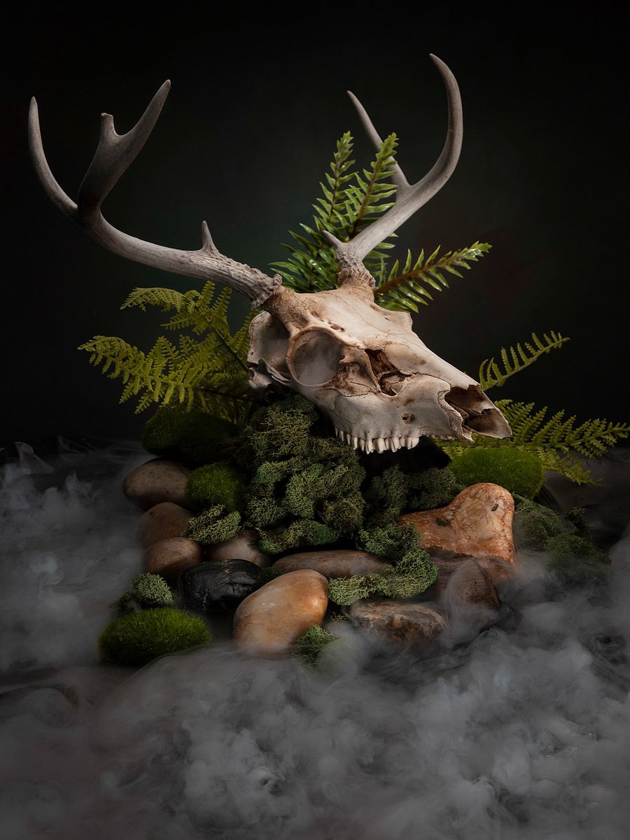 "Out of the Fog" - 8x10 Matte Print product image (1)