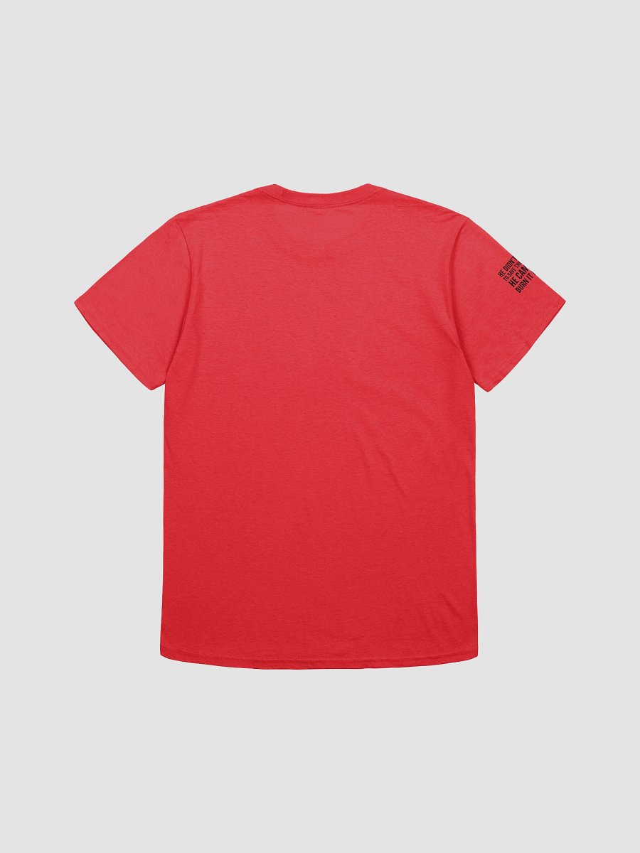 HE DIDN’T COME TO SAVE THE SYSTEM – HE CAME TO BURN IT DOWN product image (33)