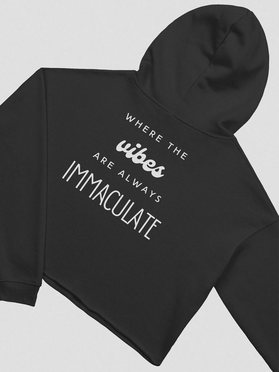 Immaculate Vibes Crop Hoodie product image (16)