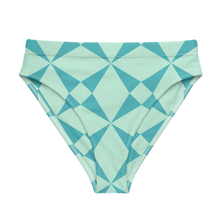 Sea Moss High Waist Bikini Bottom product image (1)