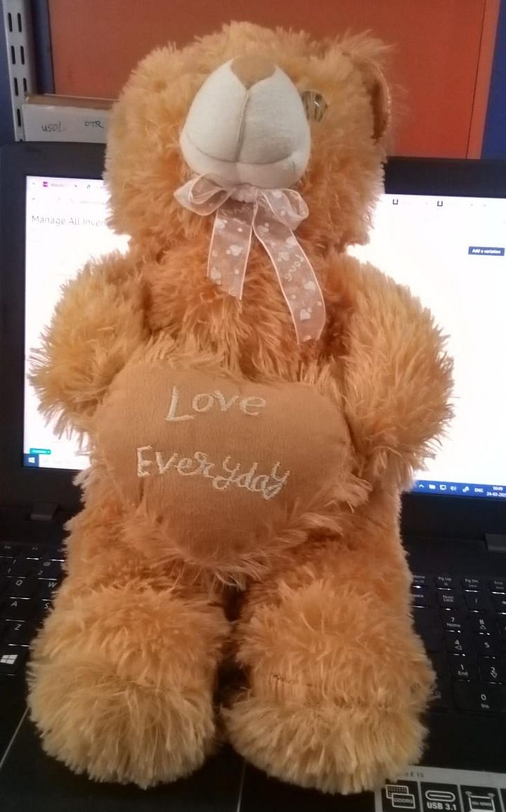 TEDDY BEAR product image (1)