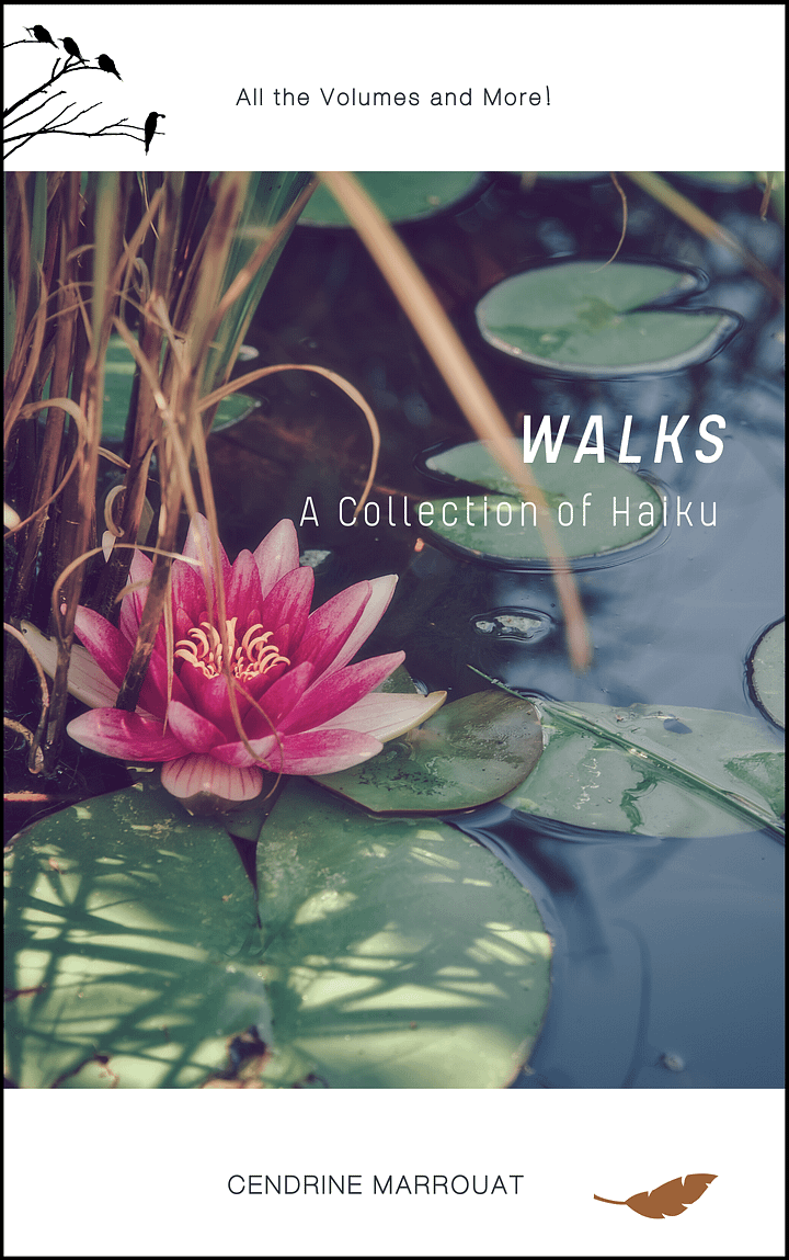 Walks: A Collection of Haiku (All the Volumes and More!) product image (1)