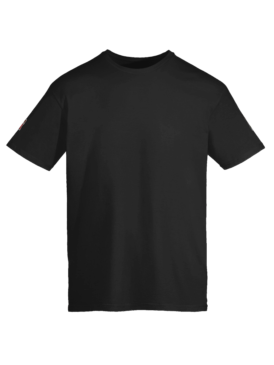 Shey and Filthy Tee product image (9)