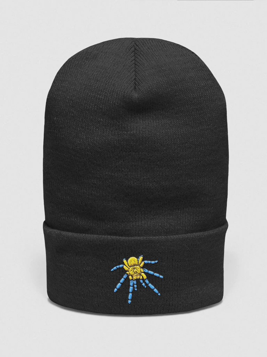 Harpactira pulchripes Embroidered Beanie product image (1)