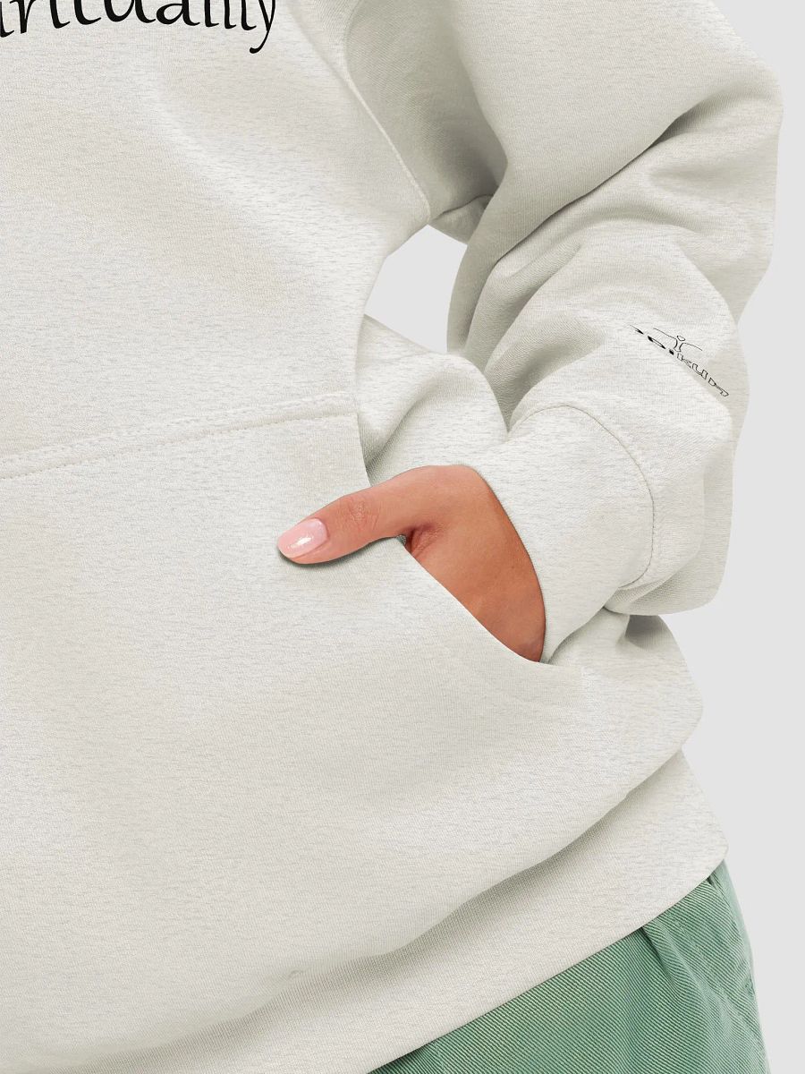 Conspiracy Leads To Spirituality - Lane Seven Premium Pullover Hoodie product image (8)