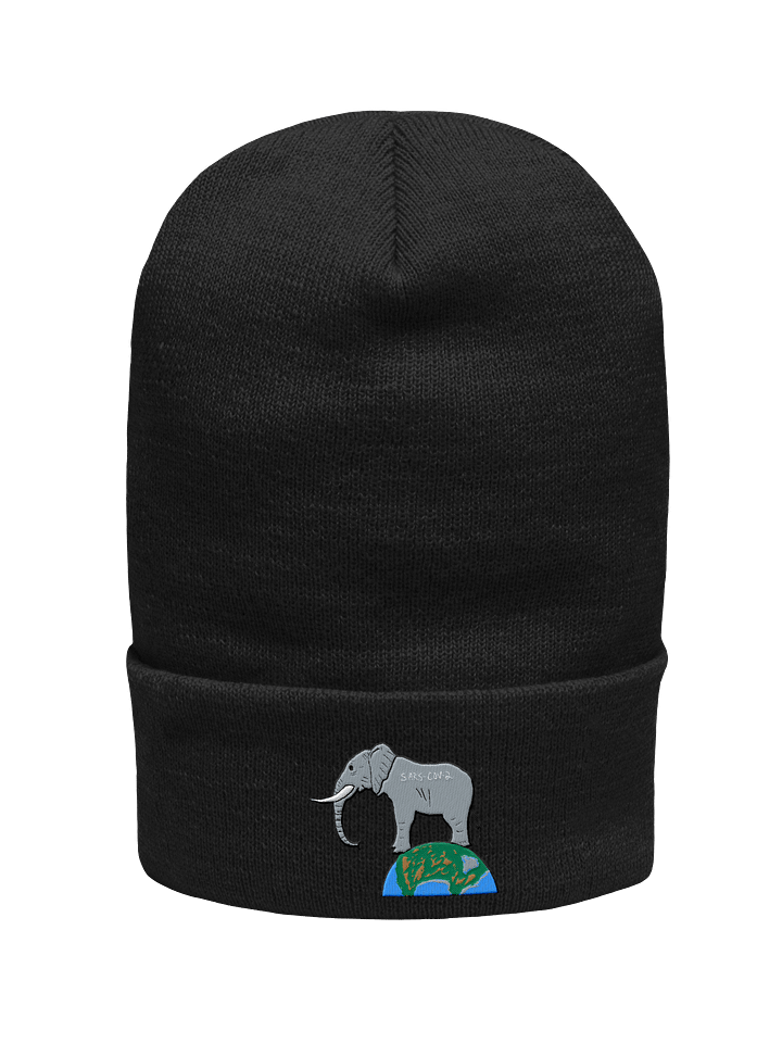 Elephant In The Room beanie product image (3)