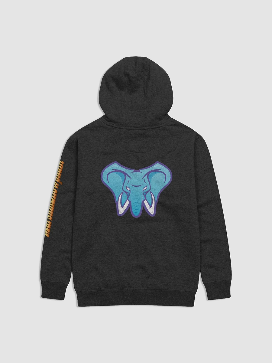 Front & Back Logo - Hoodie product image (11)