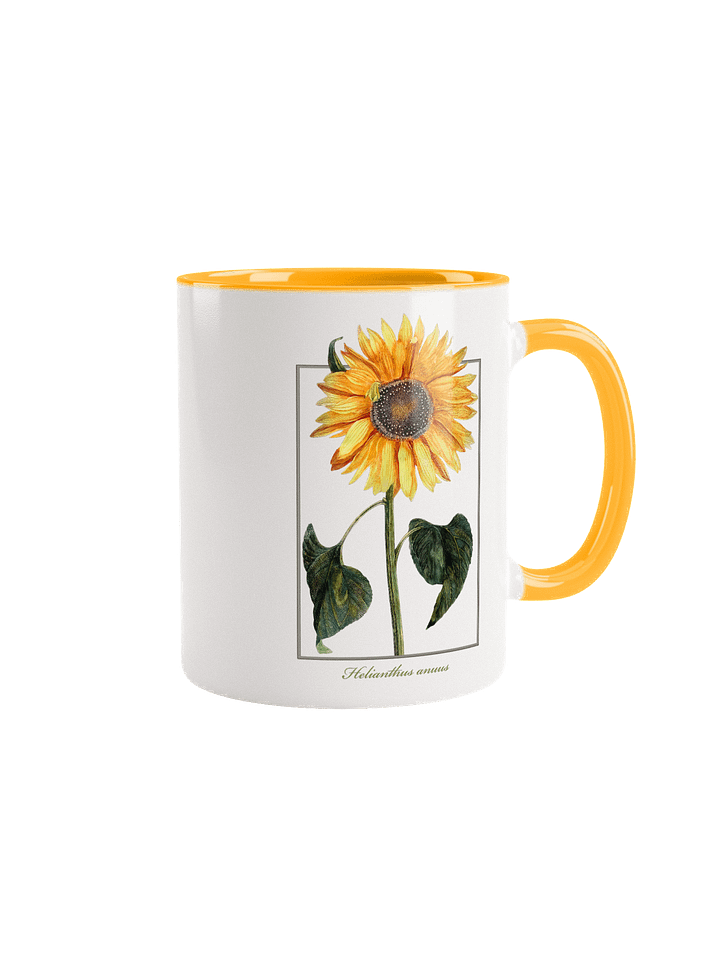 single sunflower (Helianthus anuus) - Ceramic Mug product image (1)