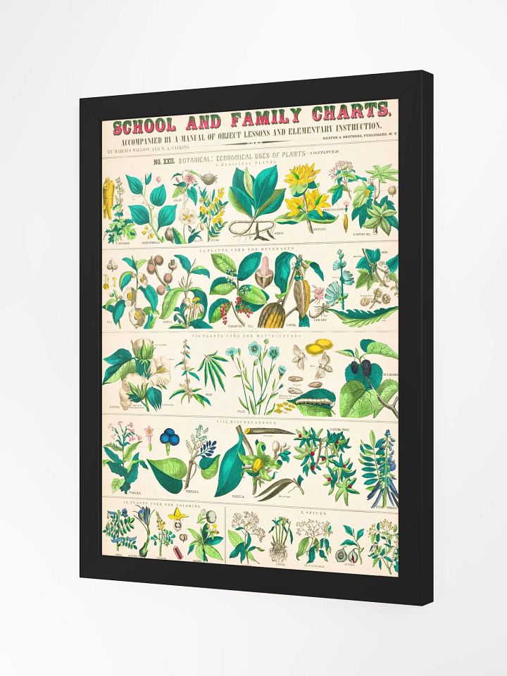 Botanical Uses Framed Art Print product image (9)