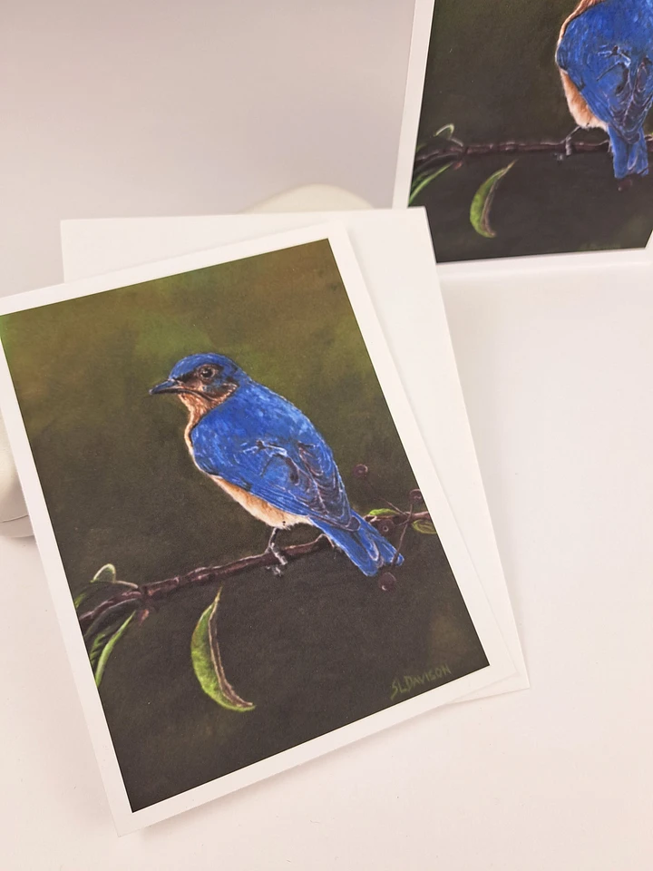 Wildlife Art Greeting Card - Bluebird - Shipping Included product image (1)