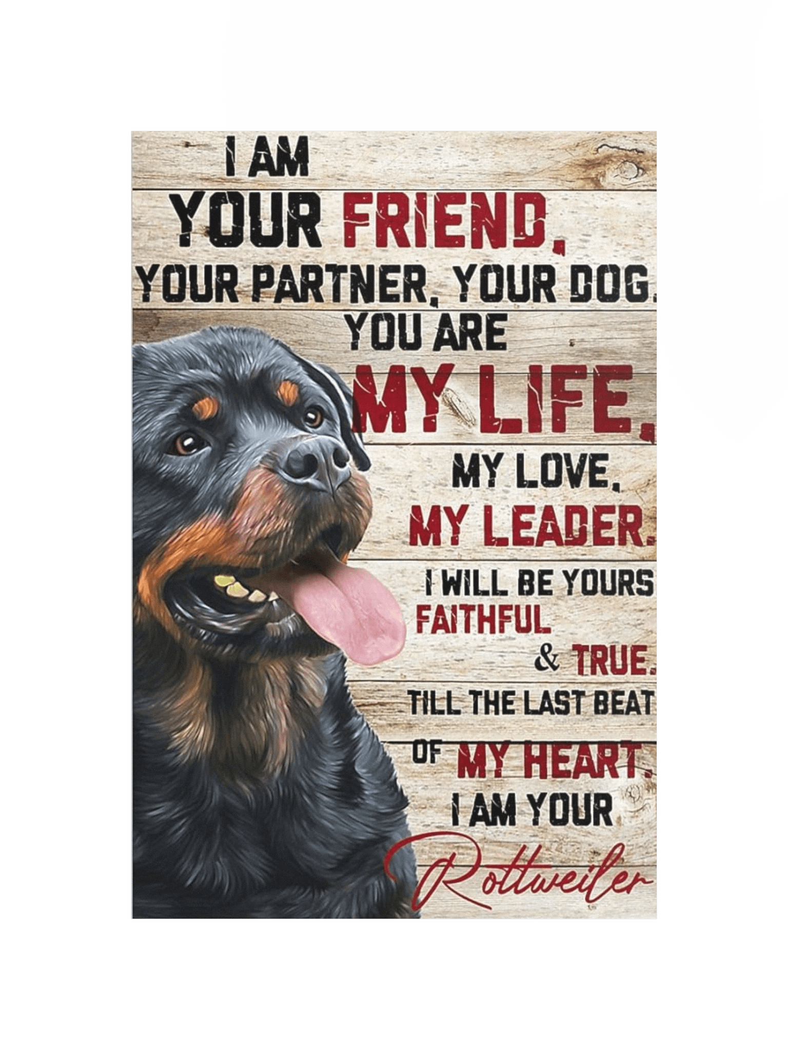 Faithful Rottweiler Poster product image (11)