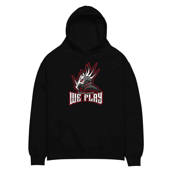 weplay hoddie product image (2)