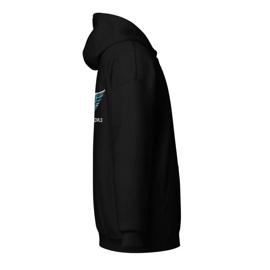 UP Zip Hoodie Black product image (16)