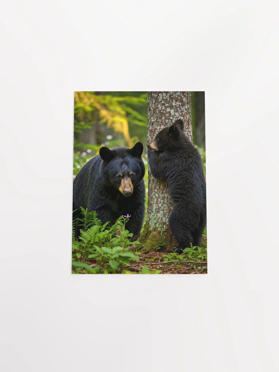 Forest Fun - Black Bears Hide and Seek Poster product image (4)