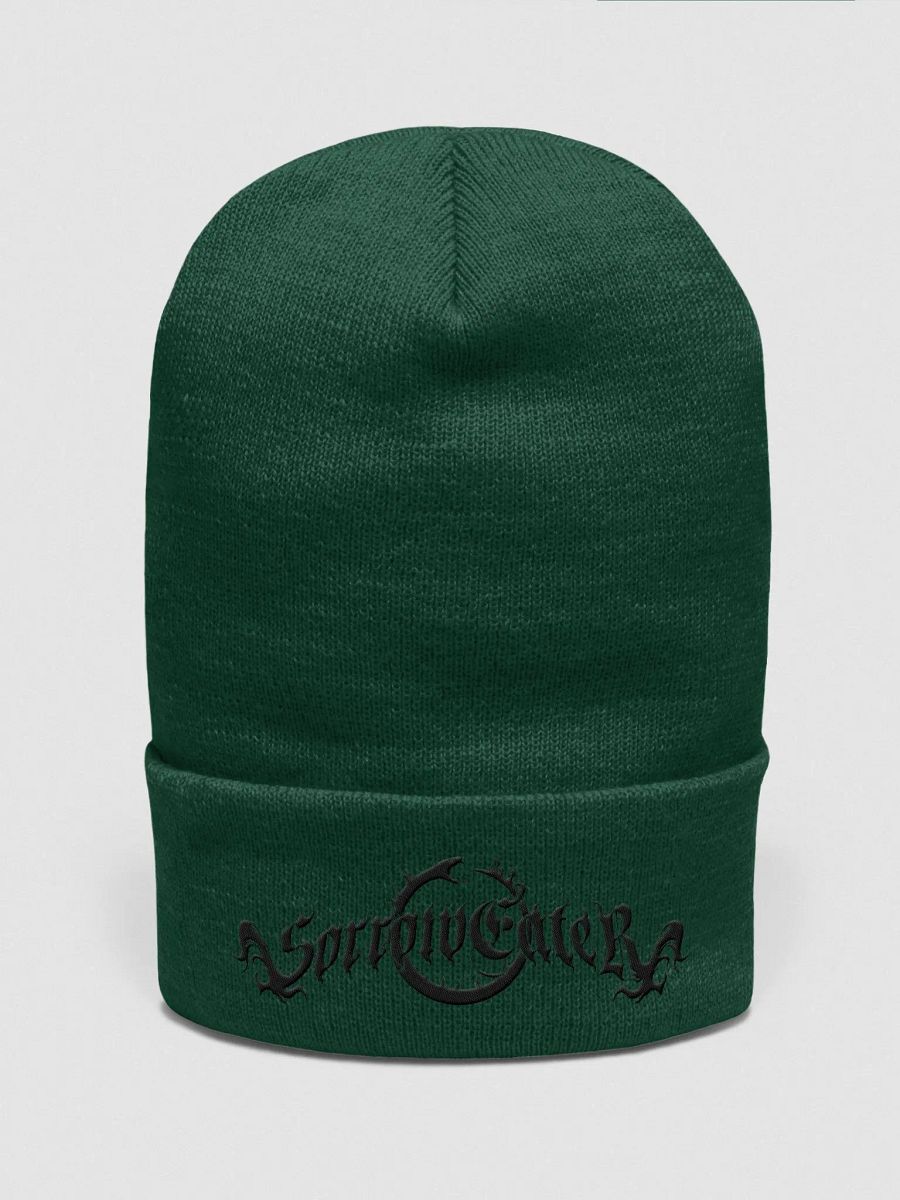 Green Beanie product image (1)