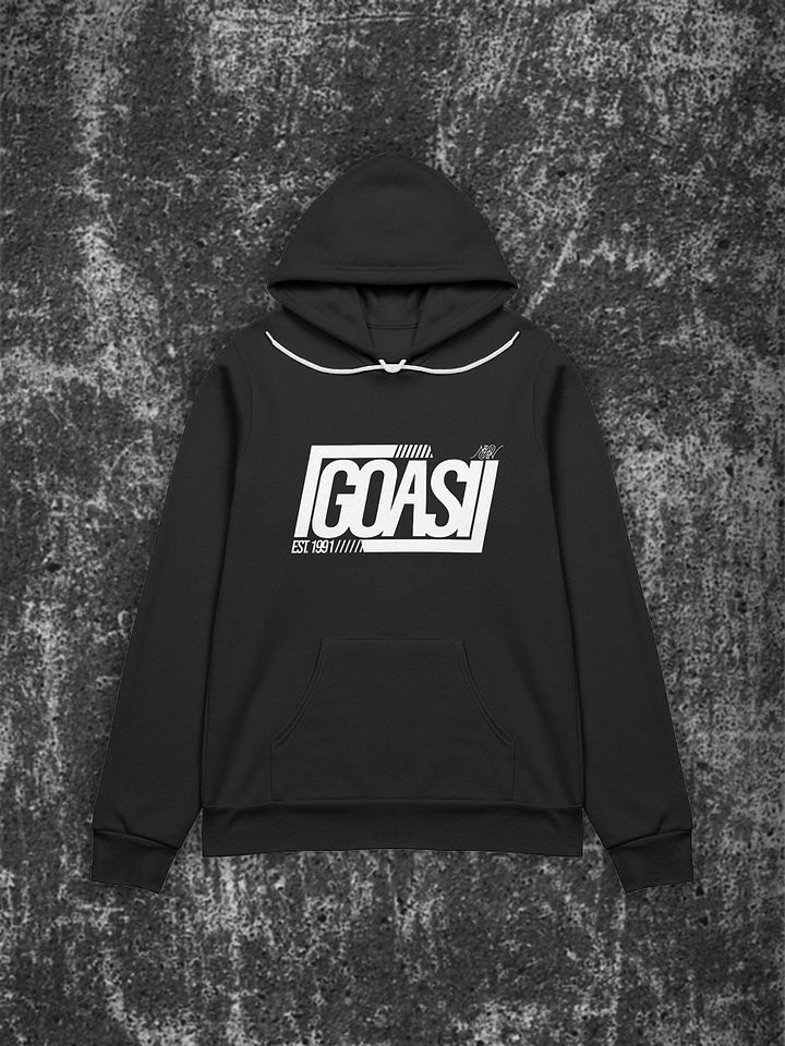 Established Hoodie product image (1)