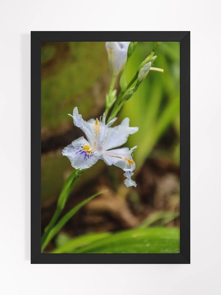 🌱Print Fine Art – The Whisper of Hidden Soil product image (1)
