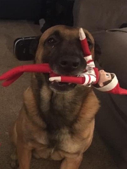 Dear Santa, It was self defense - Premium Adult Unisex Hoodie product image (6)