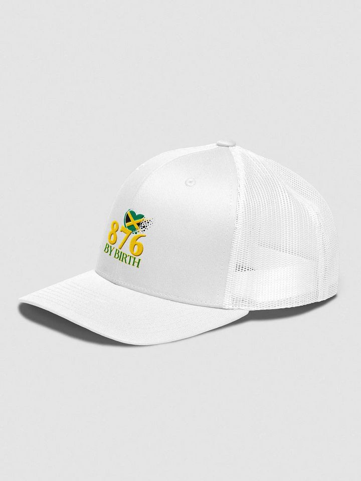 876 By Birth CAP - Style 2 product image (12)