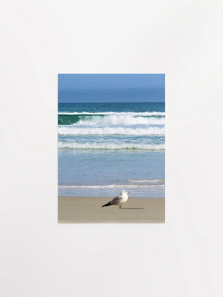 Beach Bird product image (2)