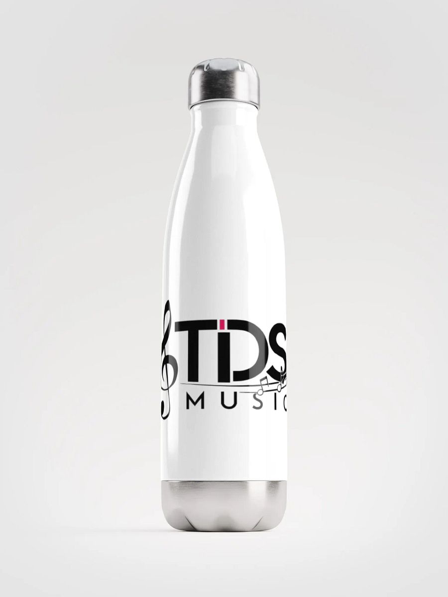TDS Music Insulated Stainless Steel Water Bottle - 17oz, White product image (1)