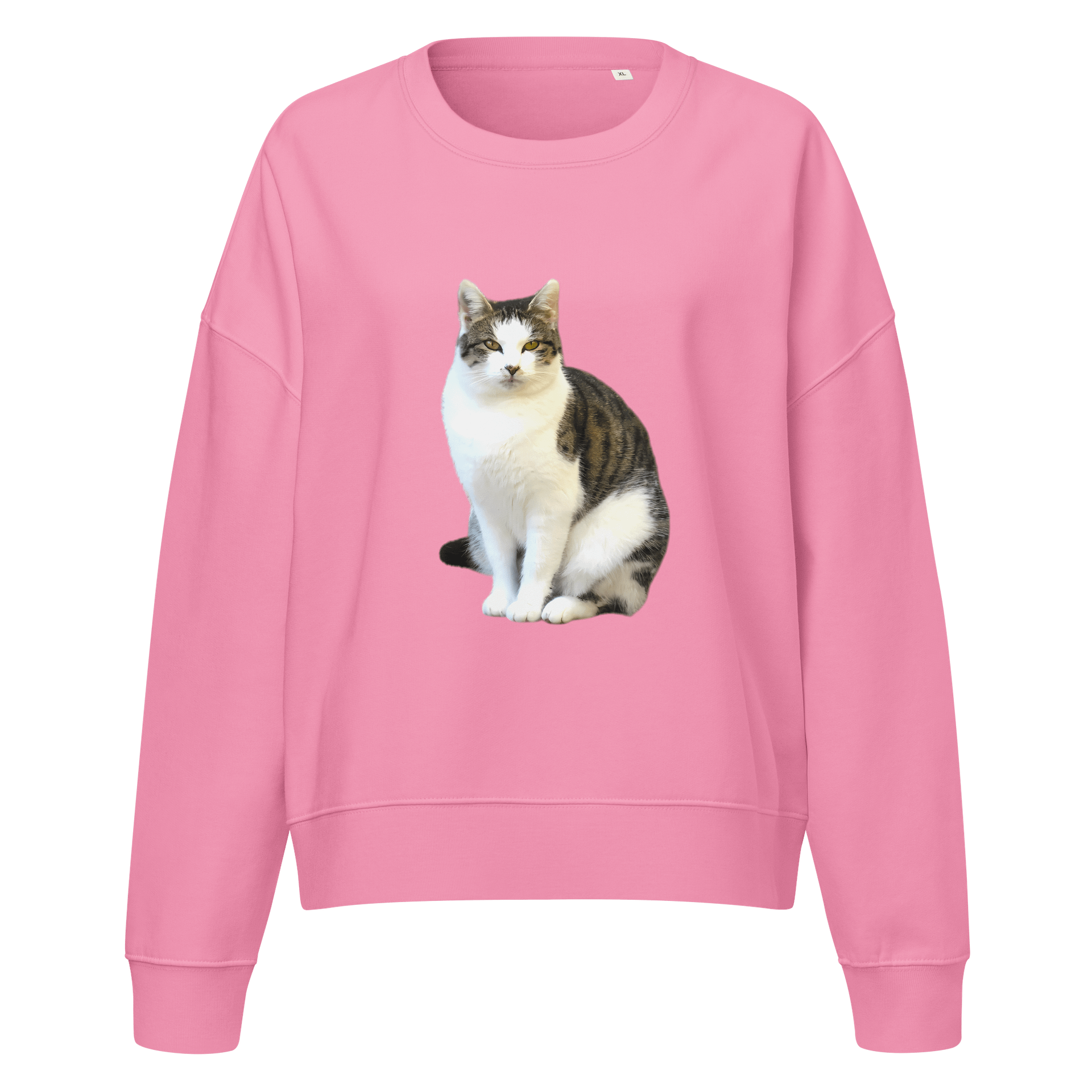 Tabby Dreams Organic Sweatshirt product image (1)