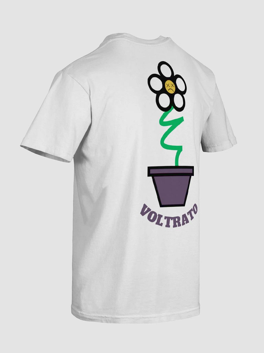 Type A product image (8)