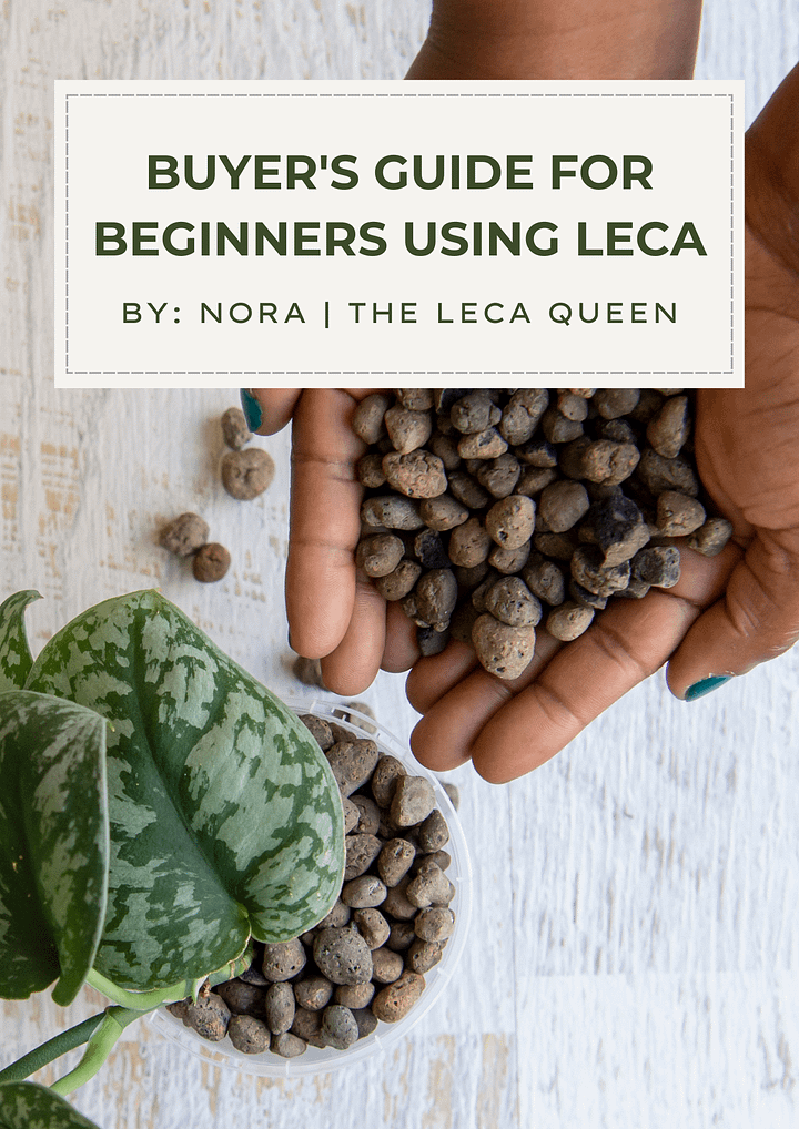 Buyer's Guide for Beginners using LECA product image (1)