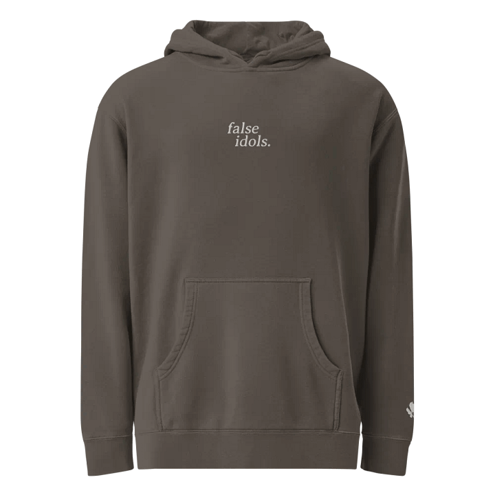 false idols - essentials embroidered hoodie product image (1)