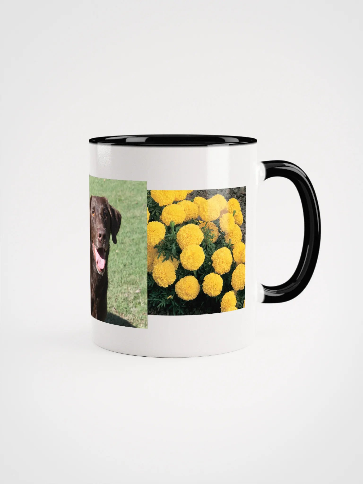 sunshine product image (3)