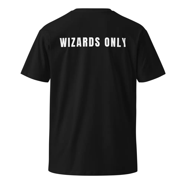 Wizards Only T-shirt product image (2)