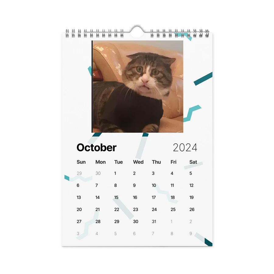 Wall Calendar (2024): Meme Cats product image (16)