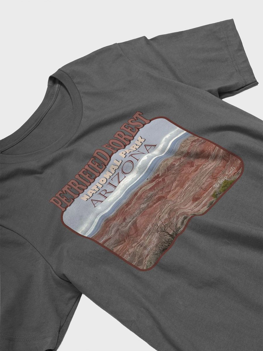 Petrified Forest National Park Tee product image (18)
