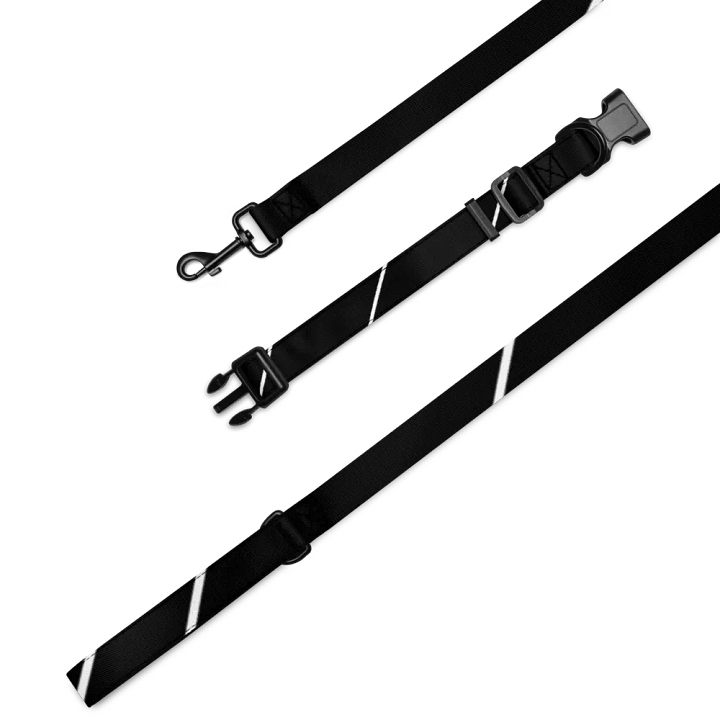 Stellar Lines Pet Collar & Leash Set product image (1)