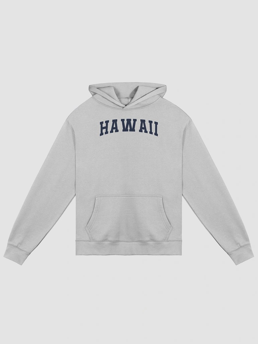 Hawaii Vintage Stylish Unisex Premium Oversized Hoodie product image (2)