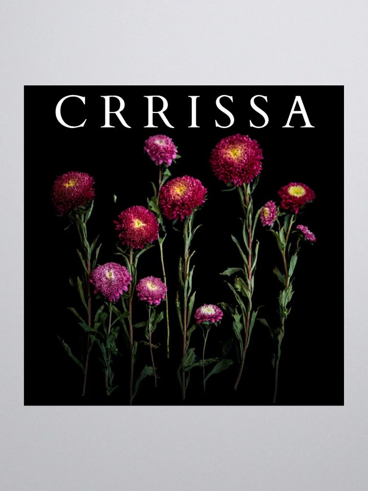 Crrissa - Sticker product image (1)