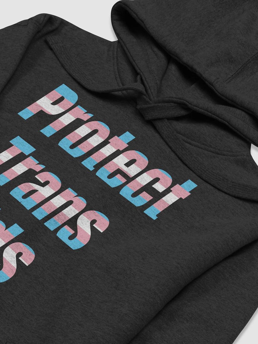 Protect Trans Kids Hoodie product image (3)