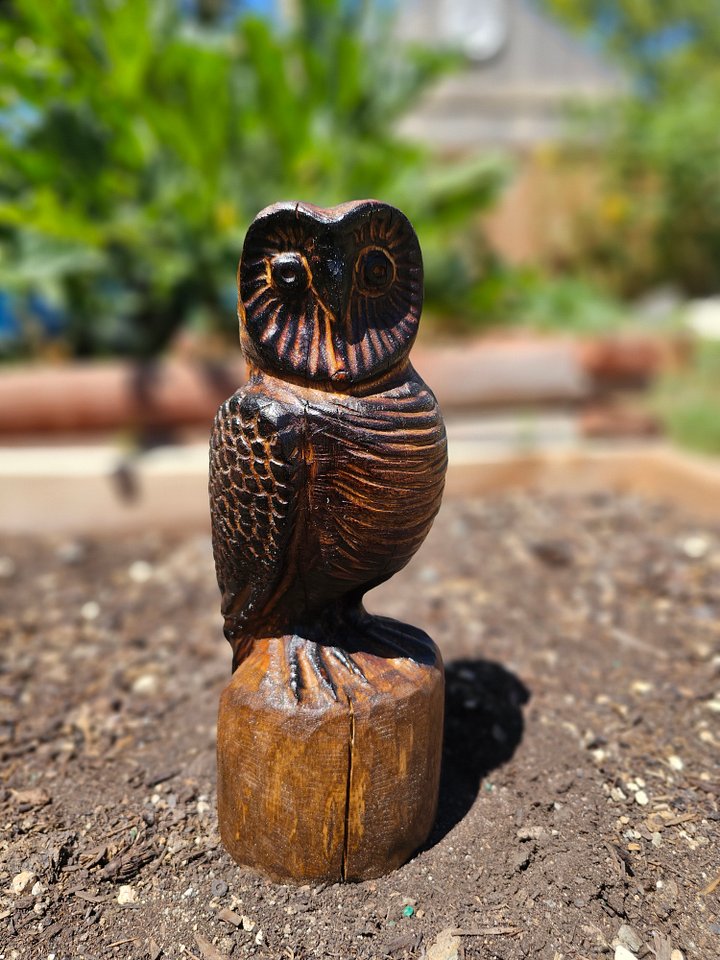 Wood Carved Owl! product image (1)